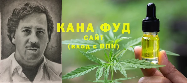 индика Аркадак
