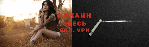 индика Аркадак