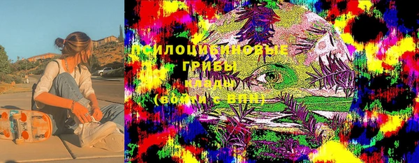 тгк Армянск