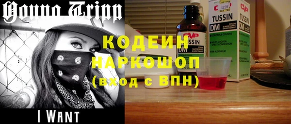 индика Аркадак