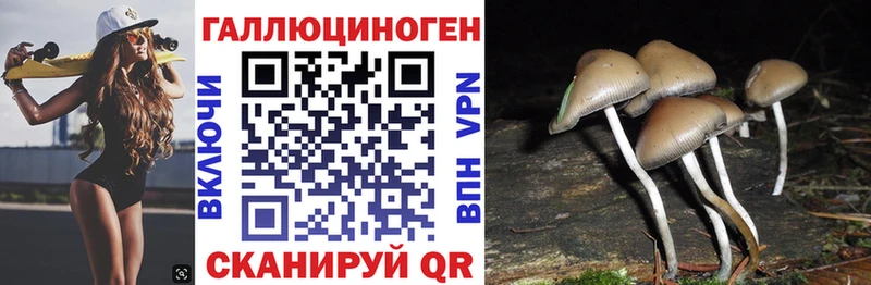 гидра зеркало  Пугачёв  Псилоцибиновые грибы Cubensis 