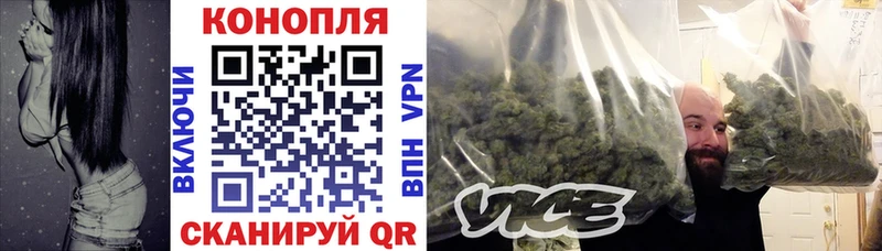 как найти Пугачёв мега tor МАРИХУАНА THC 21%